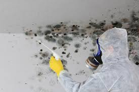 Best Emergency Mold Remediation in Kennedale, TX